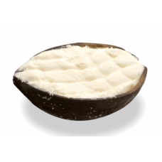 D7 Coco givré